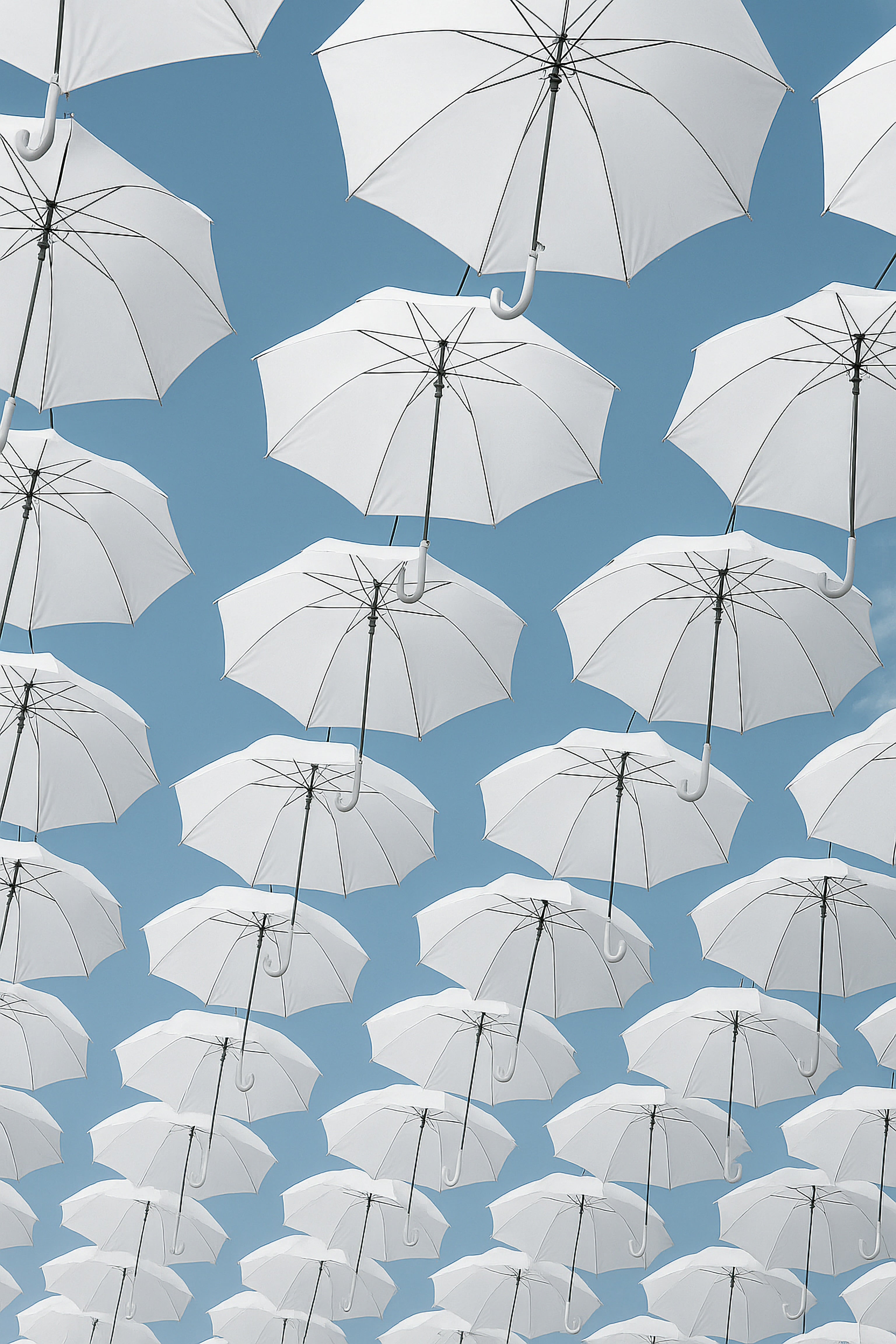 Paraguas Blanco Publicitario (Caja Con 60 Piezas)