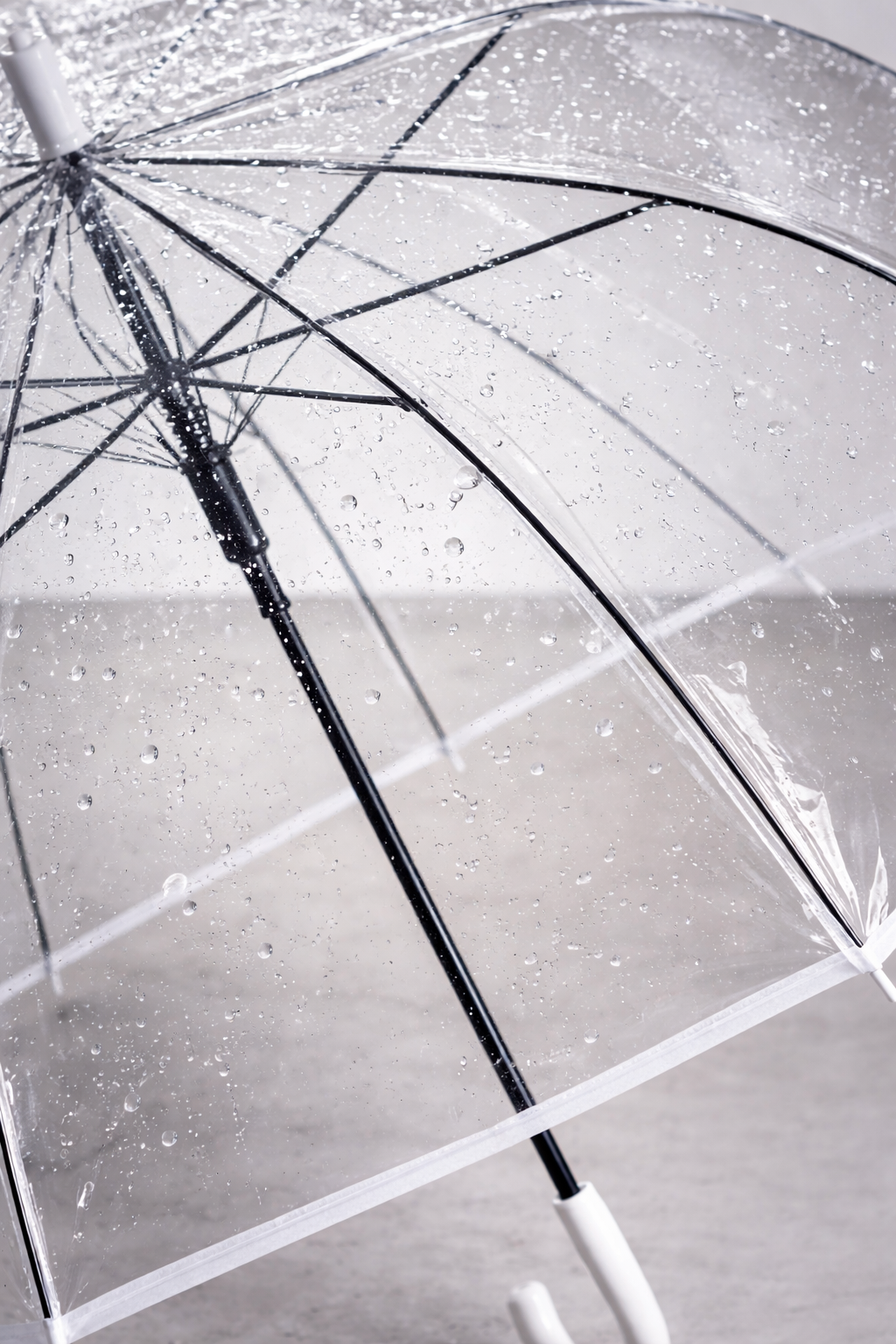 Paraguas Transparente De Hongo, Ideal Para Personalizar Y Eventos